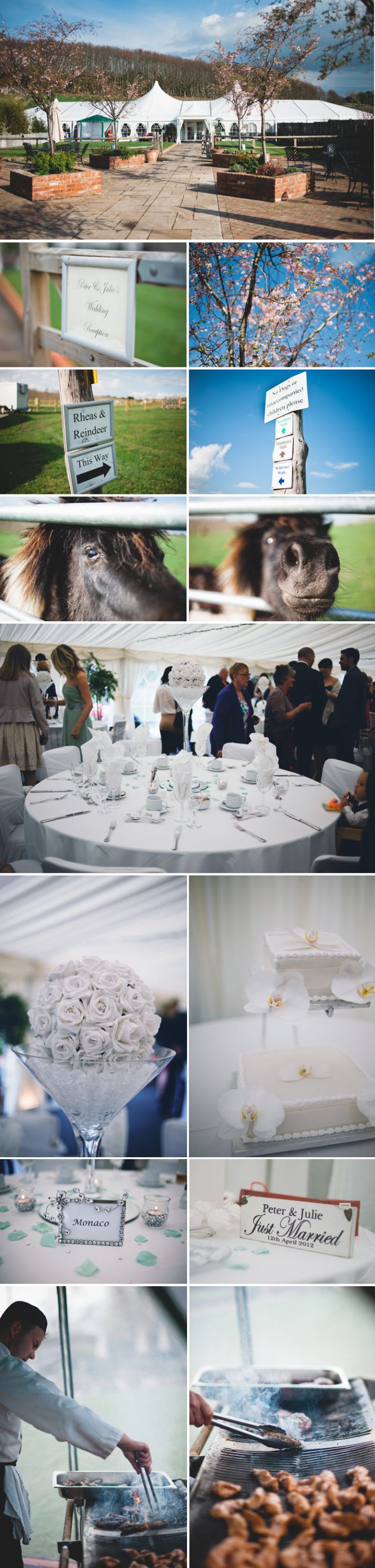 The Barnyard - Upchurch wedding photography