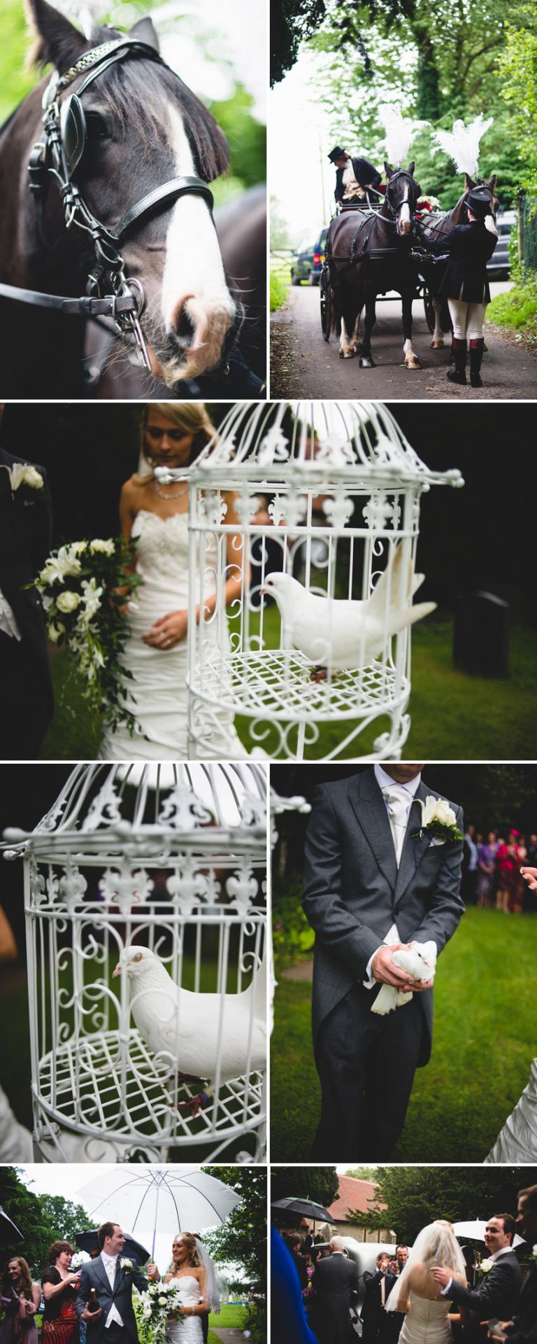 The Barnyard Upchurch Weddings