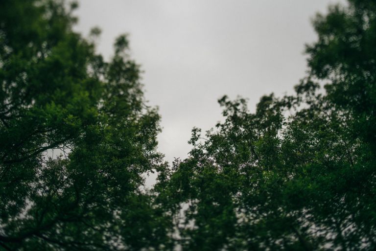 outdoors isle of wight wedding photographer