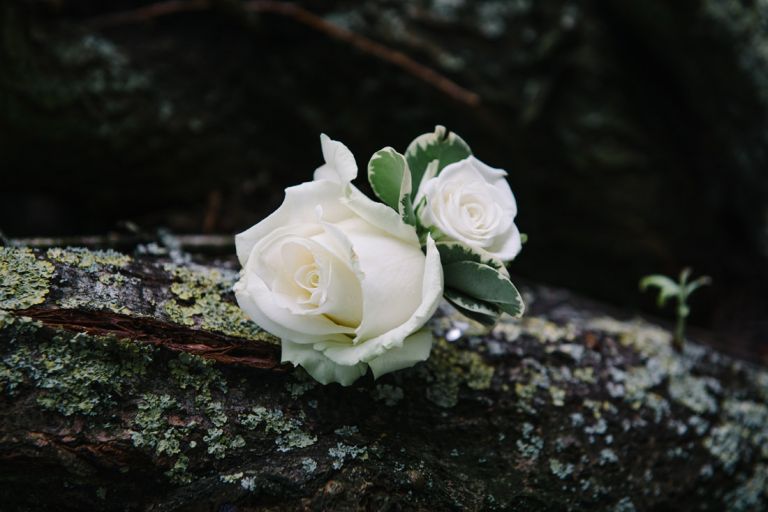 essex wedding photographer