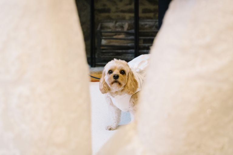 eastwell manor wedding photography